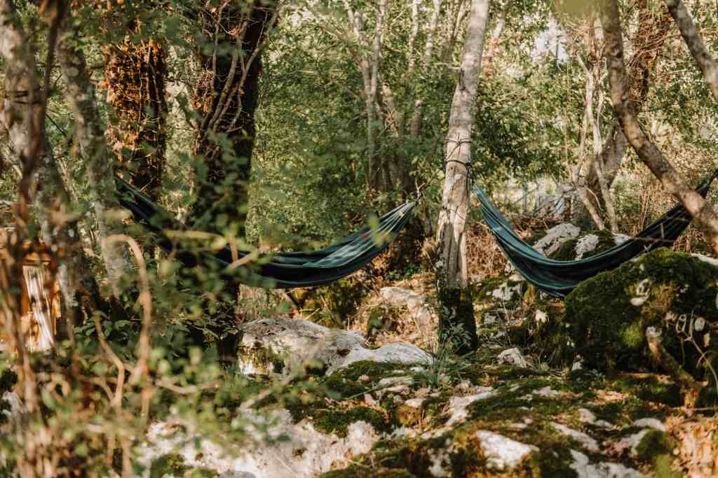 hammocks at hoopoe glamping are the escape in nature