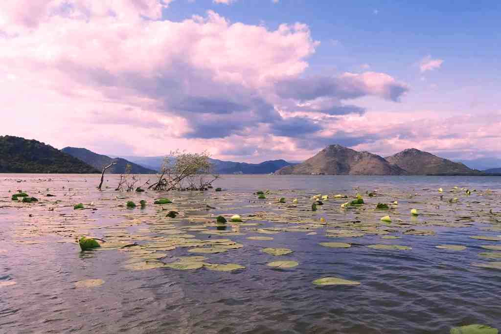 must do in Skadar Lake