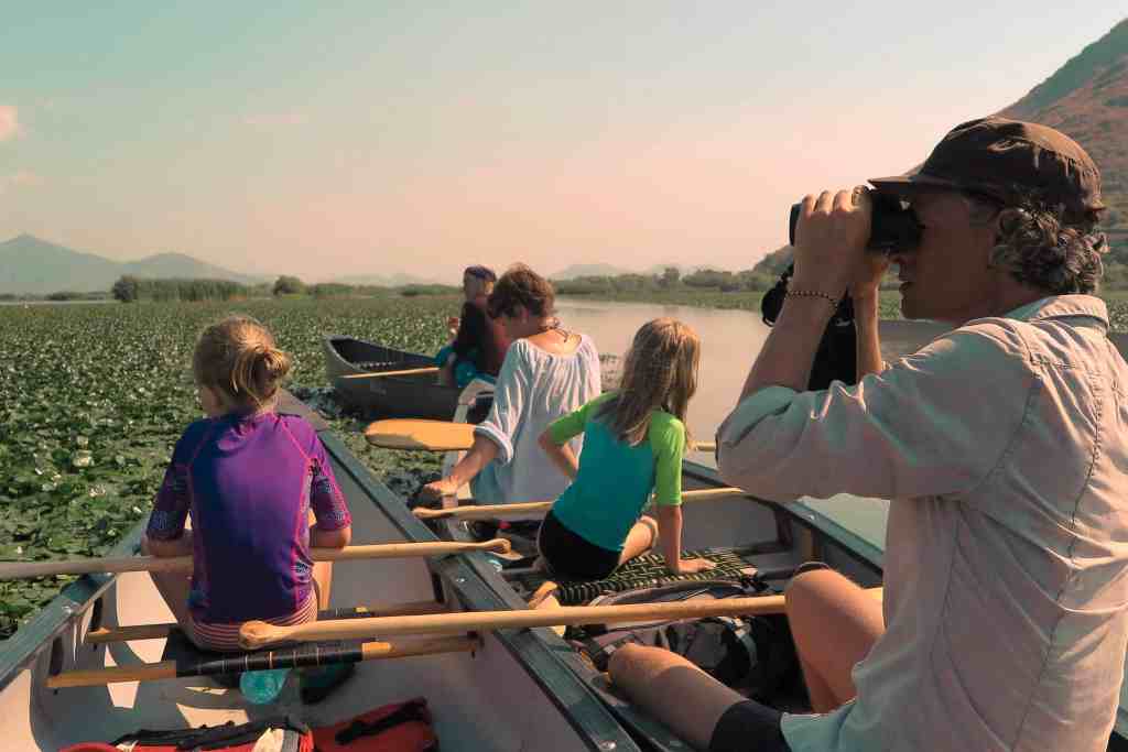 Bird-watching Skadar Lake NP