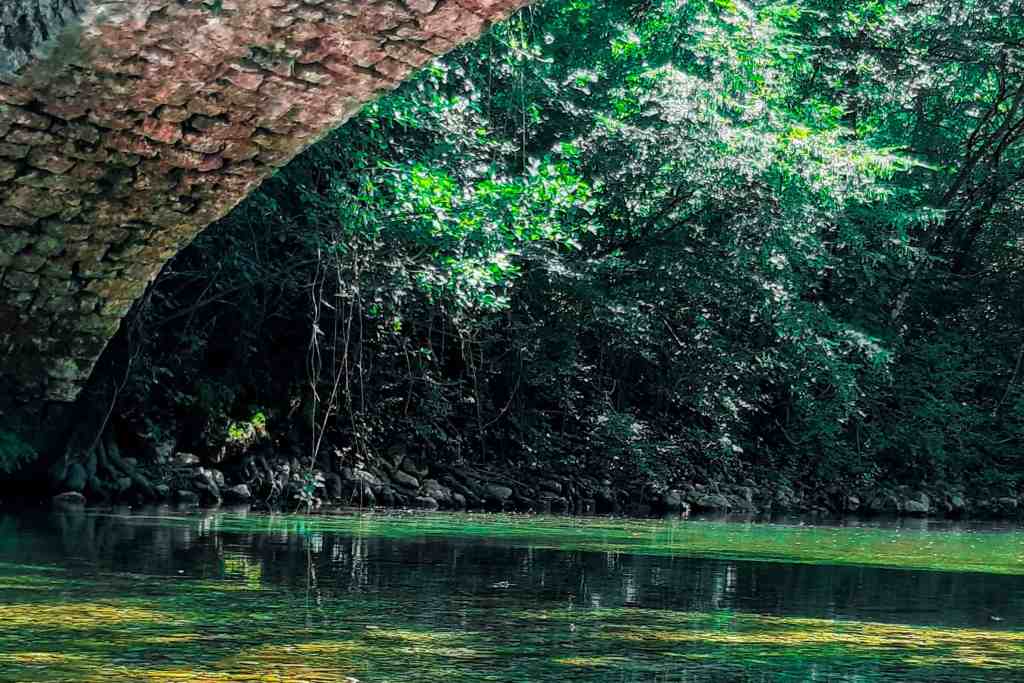 Active holidays | tours | excoursions | Skadar Lake